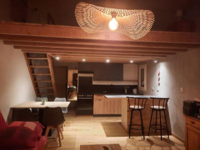 Studio 40 m 2 près St Guilhem le désert et rivière